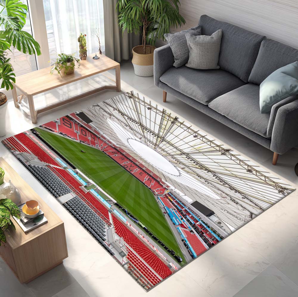 Spielfeld der BayArena Teppich 7