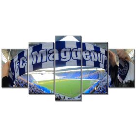 1. FC Magdeburg Sport 05 FCM Leinwandbilder