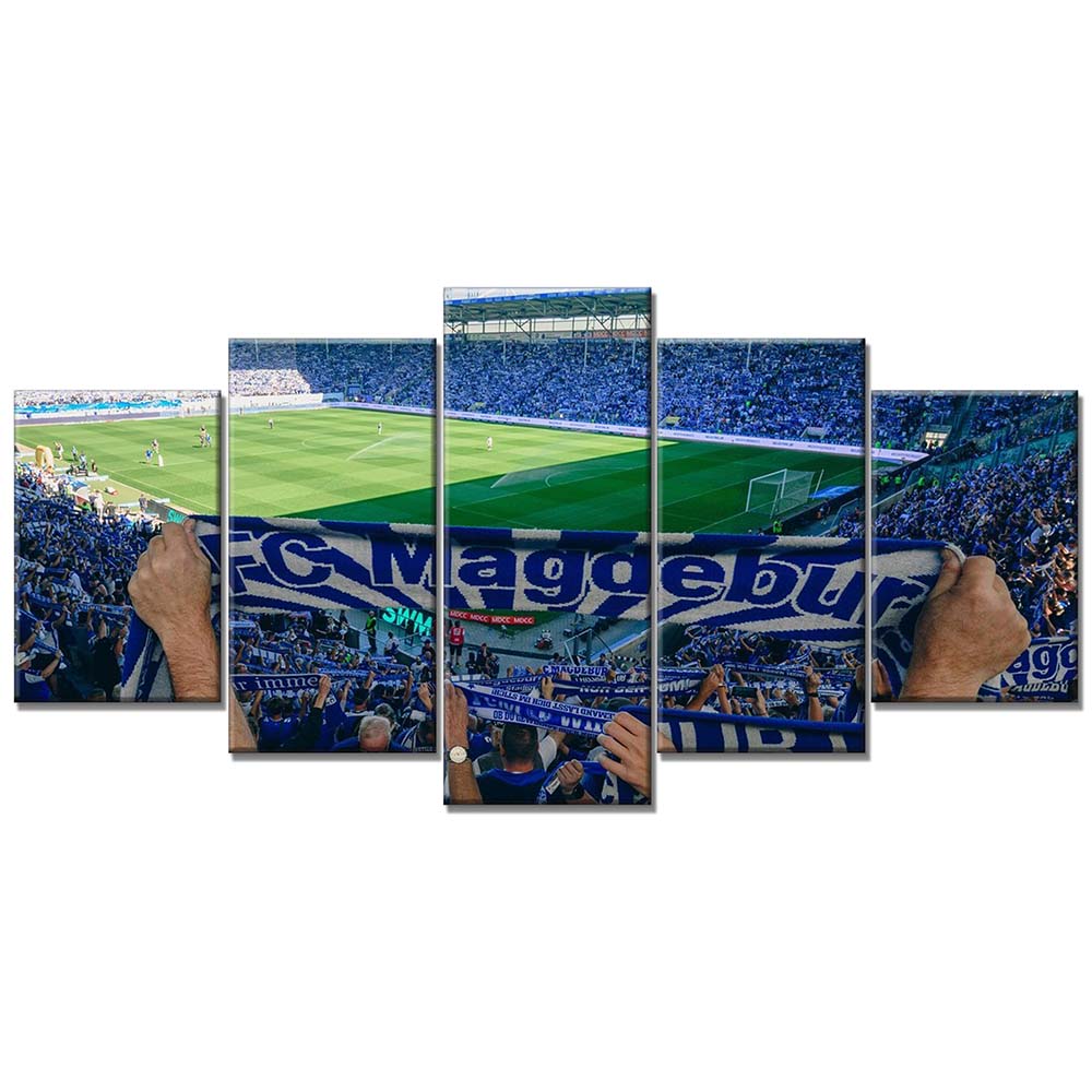 1. FC Magdeburg Sportplatz FCM Leinwandbilder