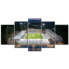 1. FC Saarbrücken Spielfeld Ludwigspark Stadion Leinwandbilder