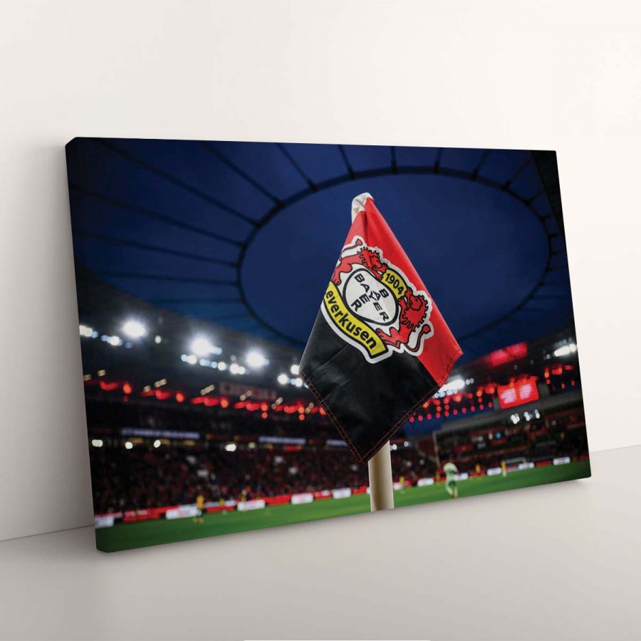 Bayer 04 Leverkusen B0419 B04 Leinwandbilder – Bild 7