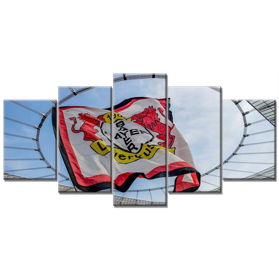 Bayer 04 Leverkusen B0421 B04 Leinwandbilder – Bild 6