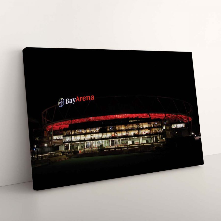 Bayer 04 Leverkusen BayArena Spielfeld 12 B04 Leinwandbilder – Bild 7