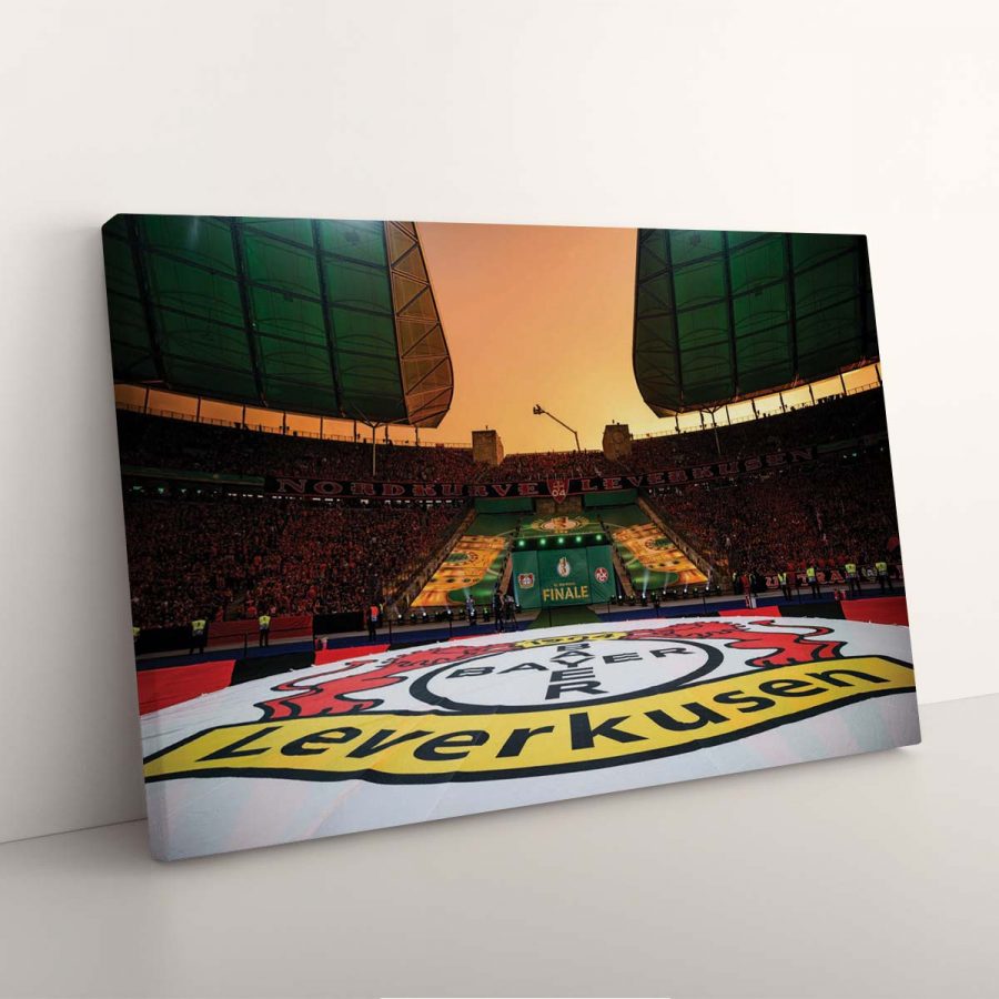 Bayer 04 Leverkusen BayArena Spielfeld 13 B04 Leinwandbilder – Bild 7