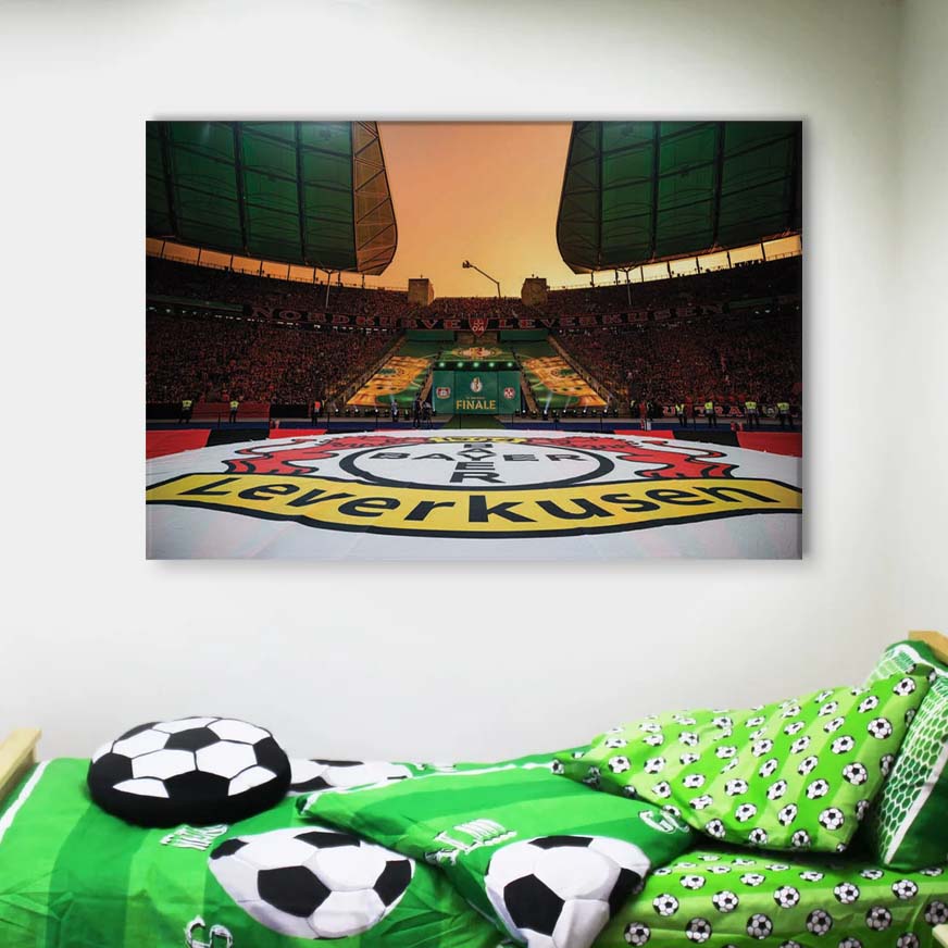 Bayer 04 Leverkusen BayArena Spielfeld 13 B04 Leinwandbilder – Bild 4