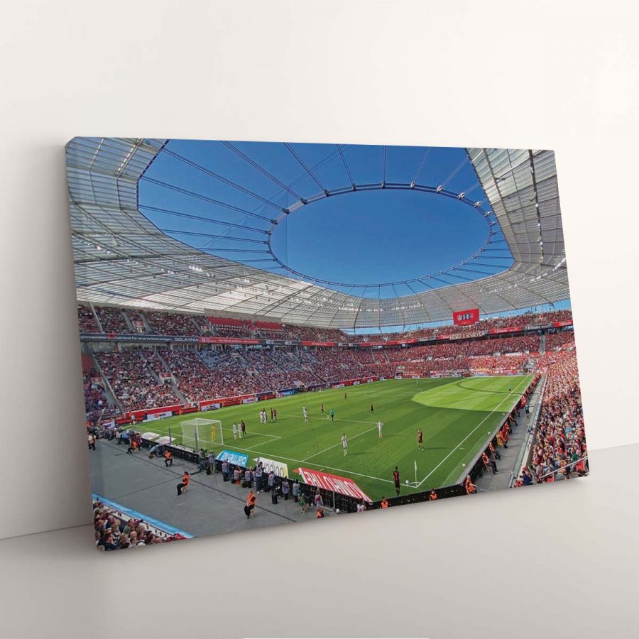 Bayer 04 Leverkusen BayArena Spielfeld 3 B04 Leinwandbilder – Bild 7