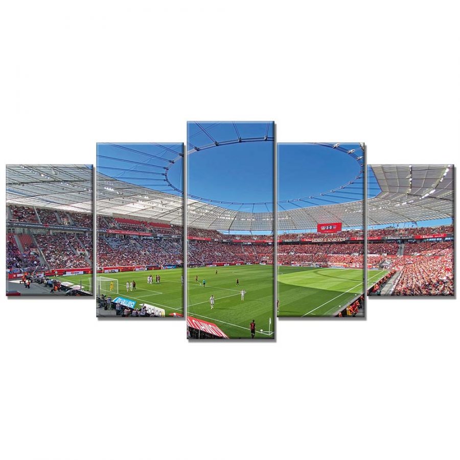 Bayer 04 Leverkusen BayArena Spielfeld 3 B04 Leinwandbilder – Bild 6
