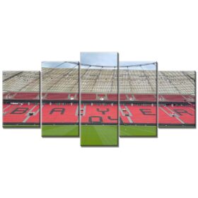 Bayer 04 Leverkusen BayArena Spielfeld 4 B04 Leinwandbilder