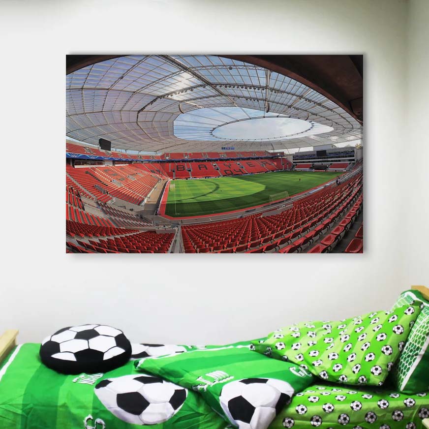 Bayer 04 Leverkusen BayArena Spielfeld 5 B04 Leinwandbilder – Bild 4