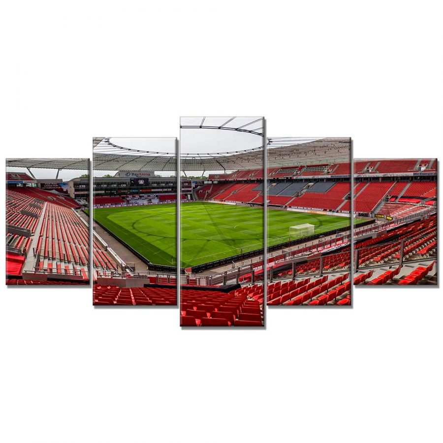 Bayer 04 Leverkusen BayArena Spielfeld 6 B04 Leinwandbilder – Bild 6