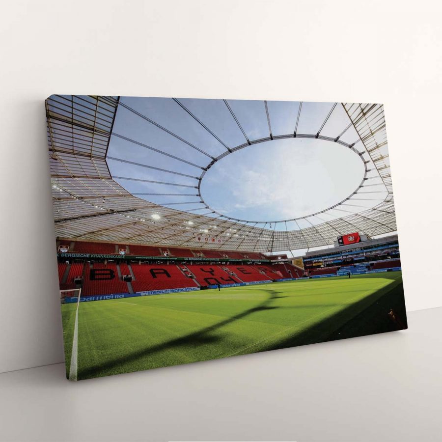 Bayer 04 Leverkusen BayArena Spielfeld 8 B04 Leinwandbilder – Bild 7