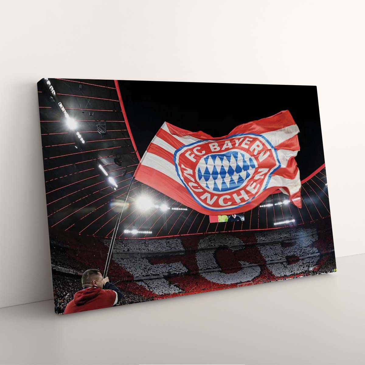 FC Bayern München Allianz Arena Spielfeld Mia san mia 15 FCB Leinwandbilder – Bild 3