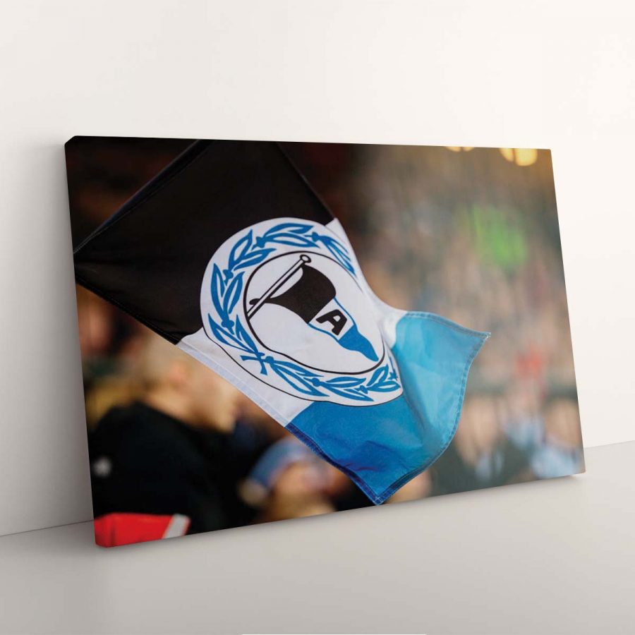 DSC Arminia Bielefeld DSC05 DSC Leinwandbilder – Bild 7