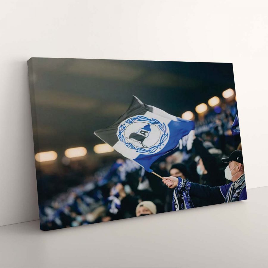 DSC Arminia Bielefeld DSC06 DSC Leinwandbilder – Bild 7