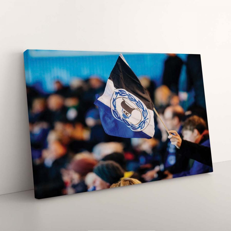 DSC Arminia Bielefeld DSC07 DSC Leinwandbilder – Bild 7