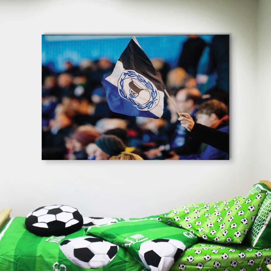 DSC Arminia Bielefeld DSC07 DSC Leinwandbilder – Bild 4