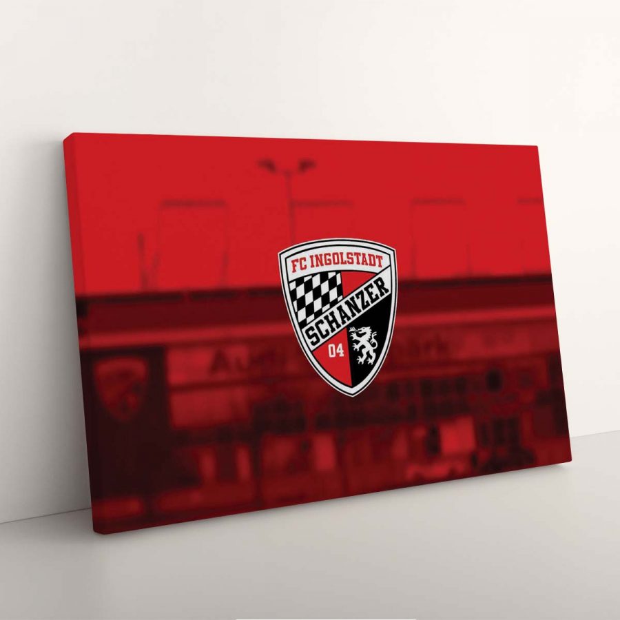FC Ingolstadt 04 Spielfeld FCI Leinwandbilder – Bild 7