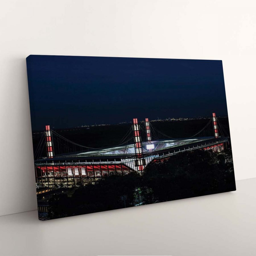 1. FC Köln RheinEnergieStadion 04 KOE Leinwandbilder – Bild 7