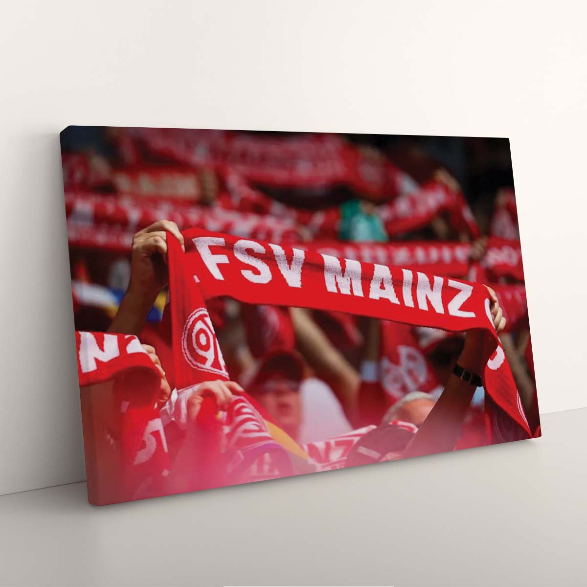 FSV Mainz 05 Fans M05 Leinwandbilder – Bild 3
