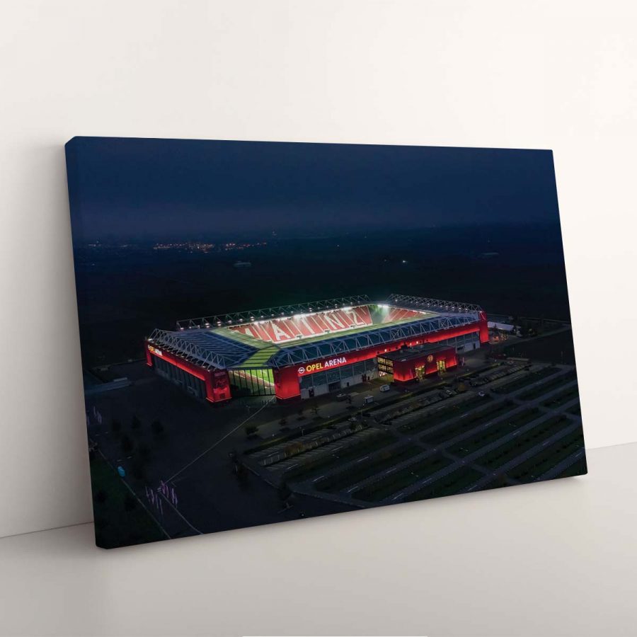 Opel Arena Mainz 05 Leinwandbilder – Bild 7