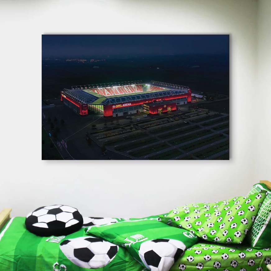 Opel Arena Mainz 05 Leinwandbilder – Bild 4