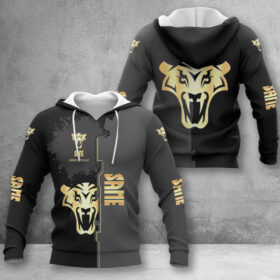 Same Hoodie